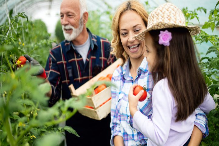 freedom-forts - 01 Win-Wins are About Family Farming and Prosperity